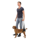 Man holding black dog lift harness supporting a brown dog's hindquarters with two long straps