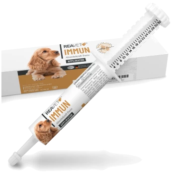 Eine Tube REAVET+ IMMUN Immununterstützungspaste für Hunde, mit einem Spritzenapplikator, mit einer Box, die ein Hundebild und Produktdetails zeigt.