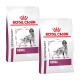 Zwei Beutel Royal Canin Veterinary Renal Hundefutter, mit einer Hundillustration und dem Text "VETERINARY" und "RENAL", die prominent angezeigt werden.