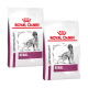 Zwei Beutel Royal Canin Veterinary Renal Hundefutter, mit einer Hundillustration und dem Text "VETERINARY" und "RENAL", die prominent angezeigt werden.