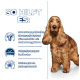 Ein brauner Hund steht vor einem blauen Hintergrund mit Text über die Vorteile von Futter für Haut, Fell und Stuhlqualität.