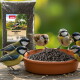 Tüte PANTO Schwarze Sonnenblumenkerne (Sonnenblumenkerne schwarz, 1 kg) und Schale mit Samen mit Meisen und einem Spatz.