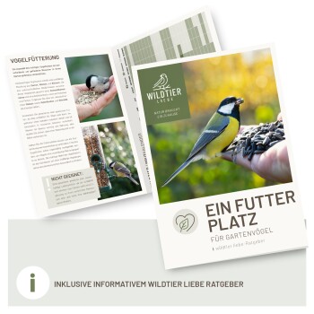 Eine Broschüre mit dem Titel "Ein Futter Platz für Gartenvögel", die eine Hand mit Vogelfutter zeigt, während ein Kohlmeise in der Nähe sitzt, um das Füttern von Vögeln zu fördern.