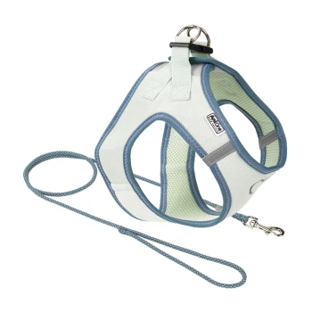 Helles grünes Haustiergeschirr mit passender Leine, das ein gepolstertes Design und reflektierende Akzente für Komfort und Sicherheit bietet.