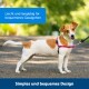 Easy Walk Anti-Zieh-Hundegeschirr schwarz M