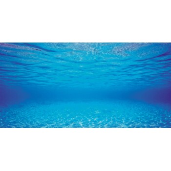 Aquarienrückwand Unterwasserwelt L