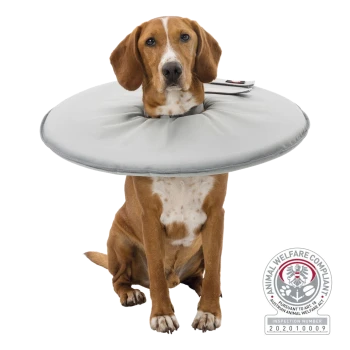 Ein Hund, der einen weichen, grauen Schutzkragen trägt, sitzt aufrecht, mit einem Compliance-Abzeichen in der Ecke, das die Tierschutzstandards anzeigt.