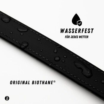 Schwarzes Hundehalsband mit einem gelben Akzentband und einer schwarzen Schnalle, mit dem eingeprägten Text "THE DOG IDEA" auf der Schnalle.