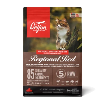 Orijen Regional Red Katzenfutterbeutel mit einer Katze im Freien, der "85 % hochwertige tierische Zutaten" und "biologisch angemessene Ernährung" hervorhebt.