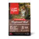 Orijen Regional Red Katzenfutterbeutel mit einer Katze im Freien, der "85 % hochwertige tierische Zutaten" und "biologisch angemessene Ernährung" hervorhebt.