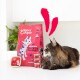 A Maine Coon cat lies beside a bag of Edgard & Cooper cat food featuring a playful cat illustration, labeled "Feed Me Real Chicken and Turkey."