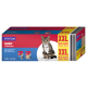 Cat food packaging featuring a tabby cat, labeled "FIT+FUN RAGOUT 2 Leckere Sorten," with "XXL BIG SIZE SMALL PRICE" promotions.