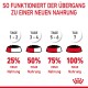 Infografik, die einen 7-tägigen Übergangsplan zu neuem Haustierfutter detailliert, mit schrittweisen prozentualen Erhöhungen von 25% auf 100%.