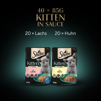 Sheba Kittenfutter in Sauce, bestehend aus zwei Beuteln: 20 mit Lachs und 20 mit Huhn, jeweils 85g.