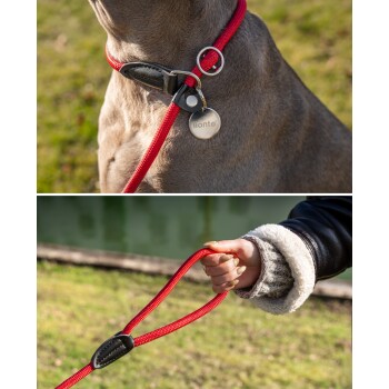 Eine Person in einer blauen Jacke und schwarzen Leggings hält eine rote Leine, die an einem sitzenden schwarz-braunen Hund in einem Waldgebiet befestigt ist.