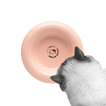 Eine hellrosa Katzenschüssel mit einem Hello Kitty-Design und dem Text 'LUCY BALU' in der Mitte, mit einem flauschigen Katzenkopf, der über den Rand schaut.