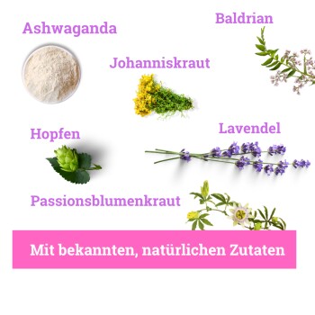 Bild von Kräutern: Ashwagandha, Johanniskraut, Hopfen, Baldrian, Lavendel und Passionsblume, mit pinkem Text "Mit bekannten, natürlichen Zutaten."