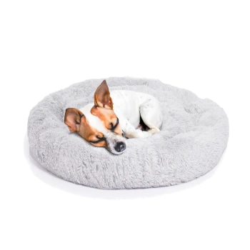 Ein kleiner, schlafender Hund mit braun-weißer Fellfarbe, der sich auf einem flauschigen grauen runden Haustierbett zusammenrollt.