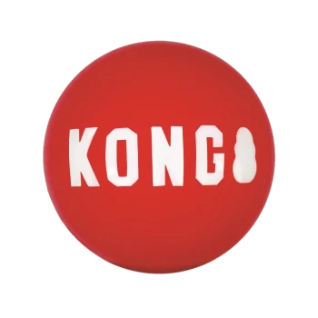 Red KONG dog toy with white lettering spelling "KONG" prominently displayed on the surface.