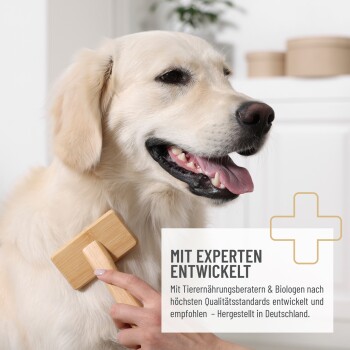 Ein Golden Retriever wird mit einem Holzwerkzeug gebürstet; der Text lautet "MIT EXPERTEN ENTWICKELT" über die Expertenentwicklung in Deutschland.