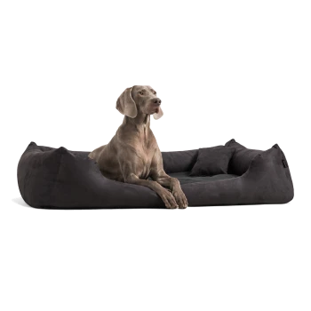 Ein grauer Weimaraner-Hund liegt auf einem plüschigen, dunkelgrauen Haustierbett mit erhöhten Rändern und schaut aufmerksam zur Seite.
