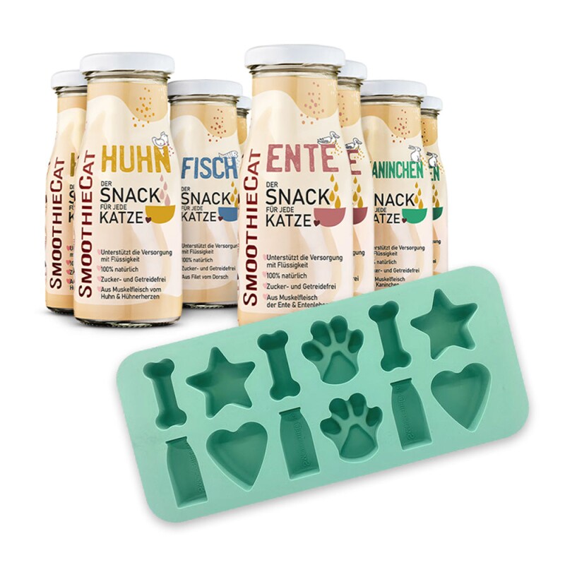 SmoothieCat Mix + Eiswürfelform 8x150 g