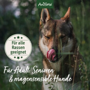 Nahaufnahme eines Hundes, der sich das Maul im Gras leckt, mit dem Text: "Für alle Rassen geeignet" und "Für Adult, Senioren & magensensible Hunde."