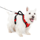 Ein glücklicher weißer Hund, der ein rotes Geschirr trägt, steht vor einem weißen Hintergrund, mit einer Leine, die am Geschirr befestigt ist.