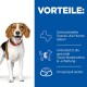 Ein Beagle neben einem blauen Panel, das die Vorteile von Hundesnacks hervorhebt: schmackhaft, unterstützt Gewichtsverlust und knusprig.