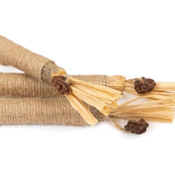 Natürliche Katzenminze-Sticks, die in Schnur gewickelt sind, mit getrockneten Blütenköpfen, ideal für das Spielen und die Stimulation von Haustieren.