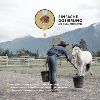 Eine Frau mit einem Hut füttert ein weißes Pferd aus einem Eimer in einer Farmumgebung, mit Bergen im Hintergrund. Der Text hebt die einfache Dosierung mit einer Schaufel hervor.