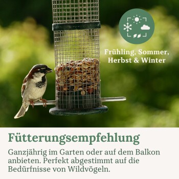 Haussperling auf einem Drahtfutterspender mit Nusskuchen; deutscher Text 'Frühling, Sommer, Herbst & Winter'