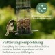 Haussperling auf einem Drahtfutterspender mit Nusskuchen; deutscher Text 'Frühling, Sommer, Herbst & Winter'