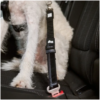 Weißer lockiger Hund auf einem Autositz, trägt ein schwarzes Geschirr und einen Sicherheitsgurt‑Verbinder mit kleinem weißem Enten‑Logo.