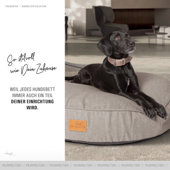 LINRUI Orthopedisches Donut Hundebett – Kuschelig Mit Memory-Schaum | Für Große Hunde, Waschbar