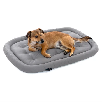 Ein kleiner brauner Hund liegt bequem auf einem grauen gepolsterten Hundebett und sieht entspannt und zufrieden aus.