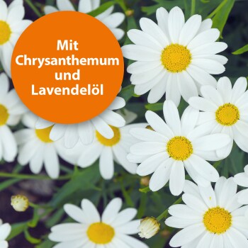 Weiße Gänseblümchen mit gelben Mittelpunkten füllen das Bild, mit einem orangefarbenen Kreis mit dem Text "Mit Chrysanthemum und Lavendelöl."