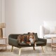 Ein braun-weißer Australian Shepherd Hund entspannt sich auf einem stilvollen dunkelgrünen Haustiersofa in einem modernen Wohnzimmer.