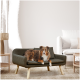Ein braun-weißer Australian Shepherd Hund entspannt sich auf einem stilvollen dunkelgrünen Haustiersofa in einem modernen Wohnzimmer.