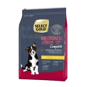 Select Gold Medium Junior Hundefutterbeutel, geeignet für Hunde von 11-25 kg, unter 12 Monaten. Mit einem Hundebild und dem Etikett "Huhn".