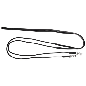 Schwarze doppelte Hundeleine mit zwei Clips, entworfen für das gleichzeitige Gassigehen mit zwei Hunden.