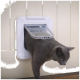 Eine graue Katze, die aus einer weißen Katzenklappe, die in einer Holztür installiert ist, herauskommt und ihr glattes Fell und ihren neugierigen Ausdruck zeigt.