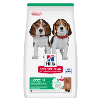 Sac Hill's Science Plan Puppy <1 avec deux chiots beagle, badge '5 bienfaits essentiels', avec Agneau & Riz et logo de la marque