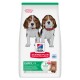 Sac Hill's Science Plan Puppy <1 avec deux chiots beagle, badge '5 bienfaits essentiels', avec Agneau & Riz et logo de la marque
