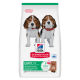 Sac Hill's Science Plan Puppy <1 avec deux chiots beagle, badge '5 bienfaits essentiels', avec Agneau & Riz et logo de la marque