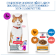 Hill's Science Plan Katzen-Trockenfutterbeutel und Nassbeutel mit Protein-Icons (Ente, Huhn, Fisch) und deutscher Überschrift.