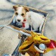 Ein flauschiger braun-weißer Hund sitzt in einem Korb auf dem Fahrrad, trägt ein rotes Halstuch und hat eine gelbe Tasche am Lenker.