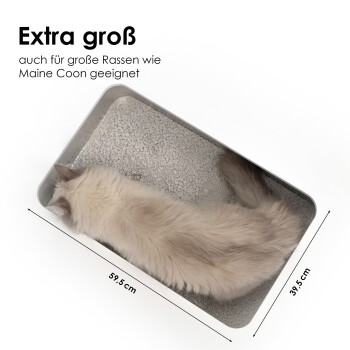 Eine flauschige Katze liegt in einer extra großen Katzentoilette, die 59,5 cm mal 39,5 cm misst, geeignet für große Rassen wie Maine Coons.