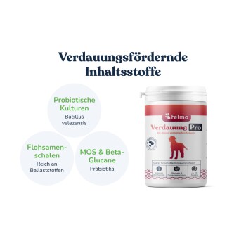 Felmo Verdauung Pro Hundeergänzungseimer mit sichtbarem Text „Verdauungsfördernde Inhaltsstoffe“.