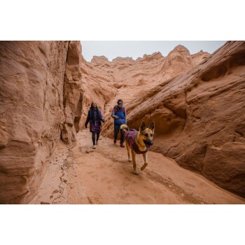 Ein Deutscher Schäferhund, der eine lila Jacke trägt, geht einen sandigen Weg zwischen hohen, rötlichen Felsformationen, begleitet von zwei Personen.